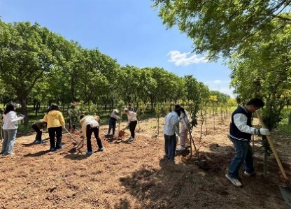 image4.jpeg image4.jpeg